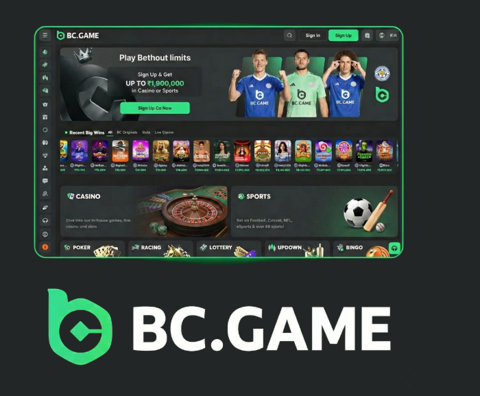 Comprehensive BC.Game Indonesia Bonus Guide Maximizing Your Rewards Comprehensive BC.Game Indonesia Bonus Guide Maximizing Your Rewards